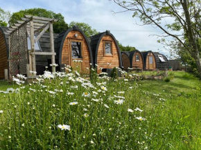 Hedgehog Glamping Pod School House Farm